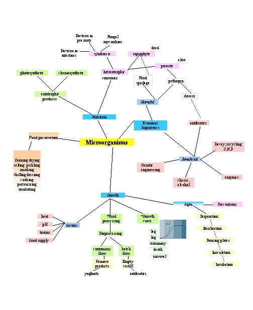 Bacteria in pea roots Bacteria in intestines Fungal mycorrhiza dead symbiosis saprophyte alive parasite