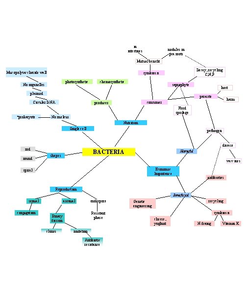 in intestines nodules in pea roots Mutual benefit Mucopolysaccharide wall Decay, recycling C, N,