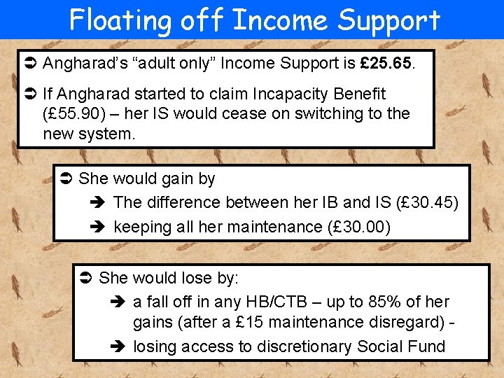Floating off Income Support Ü Angharad’s “adult only” Income Support is £ 25. 65.