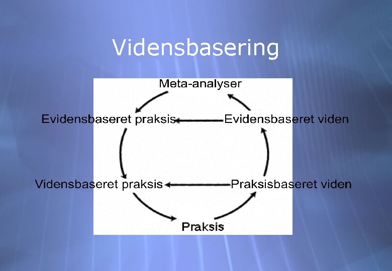Vidensbasering 