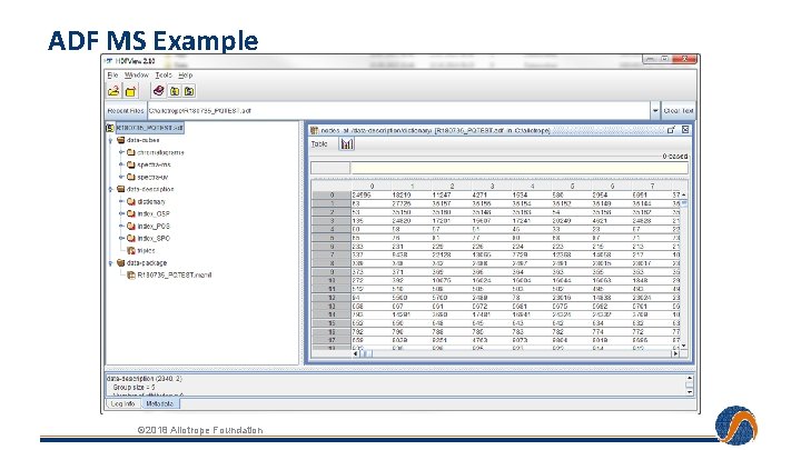 ADF MS Example © 2018 Allotrope Foundation 