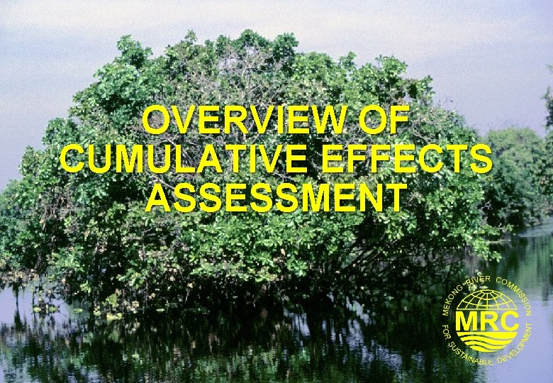 OVERVIEW OF CUMULATIVE EFFECTS ASSESSMENT 