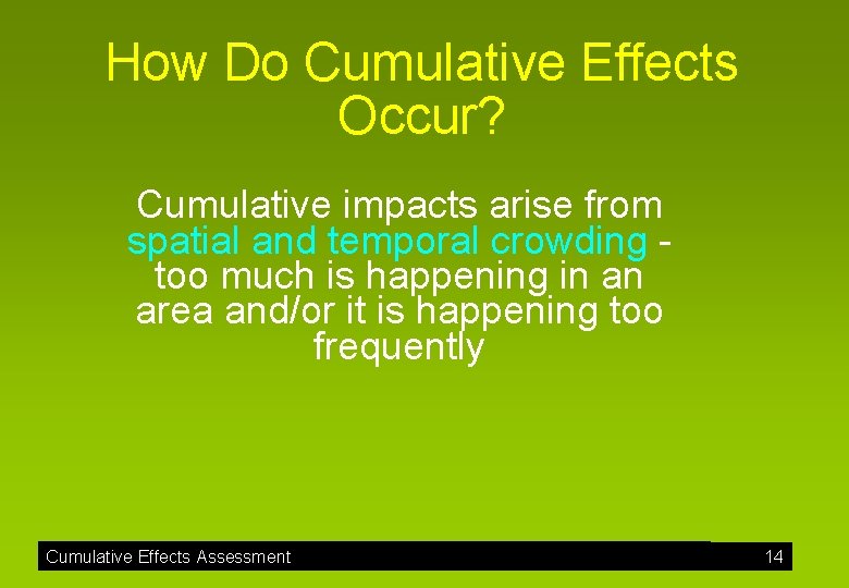 How Do Cumulative Effects Occur? Cumulative impacts arise from spatial and temporal crowding too