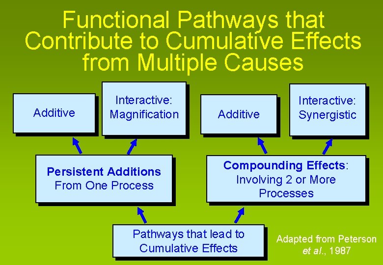 Functional Pathways that Contribute to Cumulative Effects from Multiple Causes Additive Interactive: Magnification Persistent