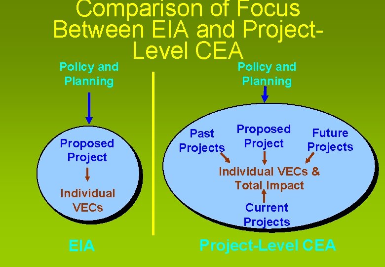 Comparison of Focus Between EIA and Project. Level CEA Policy and Planning Proposed Project