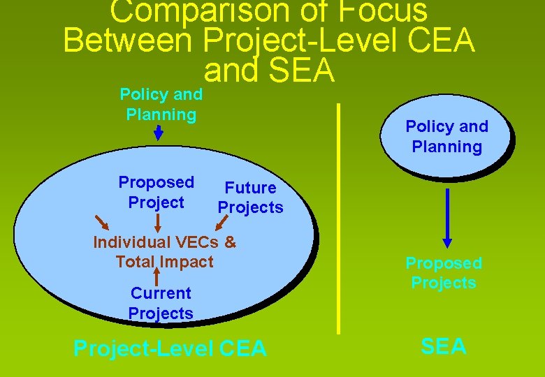 Comparison of Focus Between Project-Level CEA and SEA Policy and Planning Proposed Past Projects