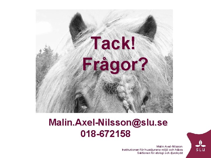 Tack! Frågor? Malin. Axel-Nilsson@slu. se 018 -672158 Malin Axel-Nilsson Institutionen för husdjurens miljö och