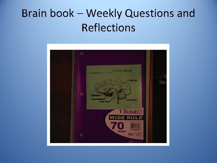 Brain book – Weekly Questions and Reflections 