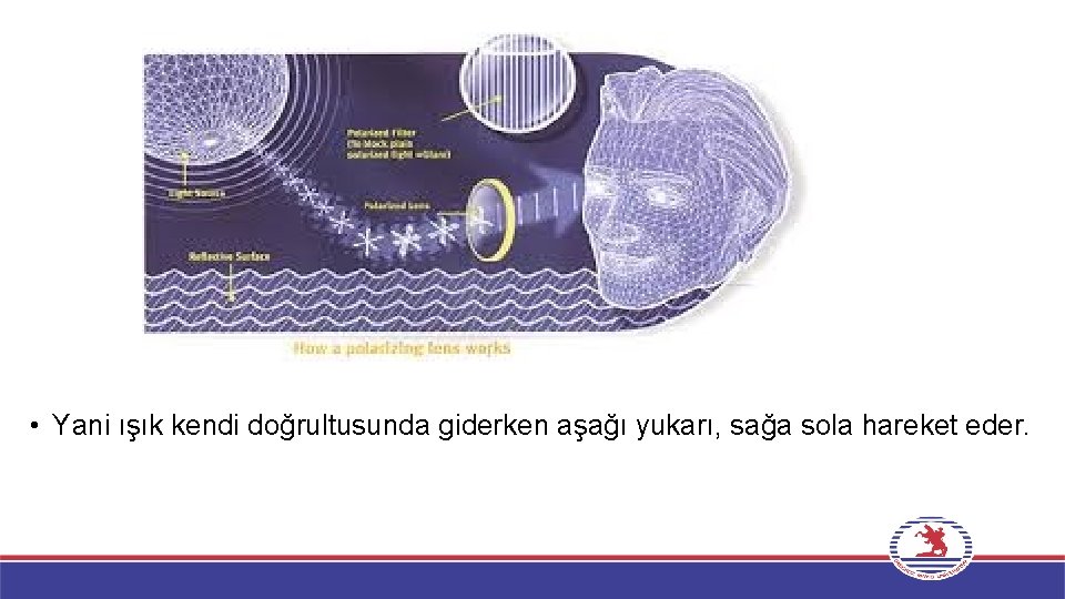  • Yani ışık kendi doğrultusunda giderken aşağı yukarı, sağa sola hareket eder. 