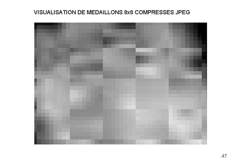 VISUALISATION DE MEDAILLONS 8 x 8 COMPRESSES JPEG 47 