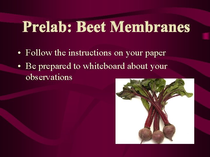 Prelab: Beet Membranes • Follow the instructions on your paper • Be prepared to