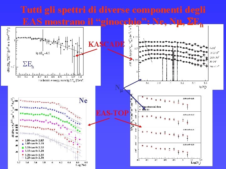 Tutti gli spettri di diverse componenti degli EAS mostrano il “ginocchio”: Ne, Nm, SEh