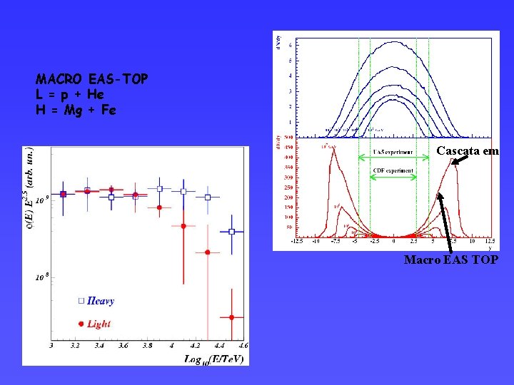 MACRO EAS-TOP L = p + He H = Mg + Fe Cascata em