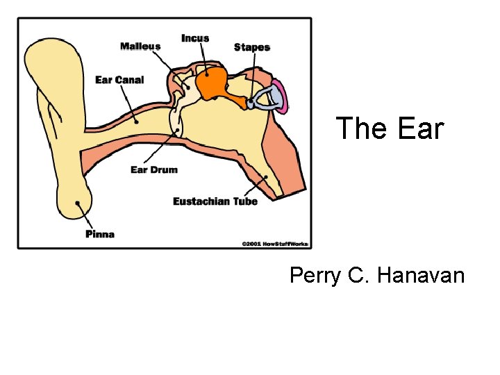 The Ear Perry C. Hanavan 