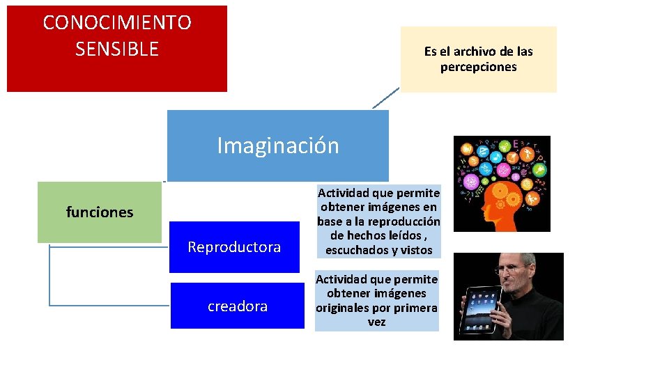 CONOCIMIENTO SENSIBLE Es el archivo de las percepciones Imaginación funciones Reproductora creadora Actividad que