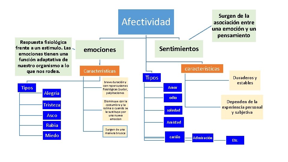 Surgen de la asociación entre una emoción y un pensamiento Afectividad Respuesta fisiológica frente