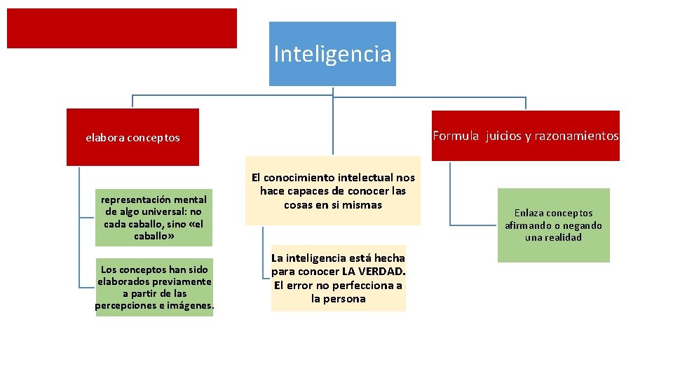 Inteligencia Formula juicios y razonamientos elabora conceptos representación mental de algo universal: no cada