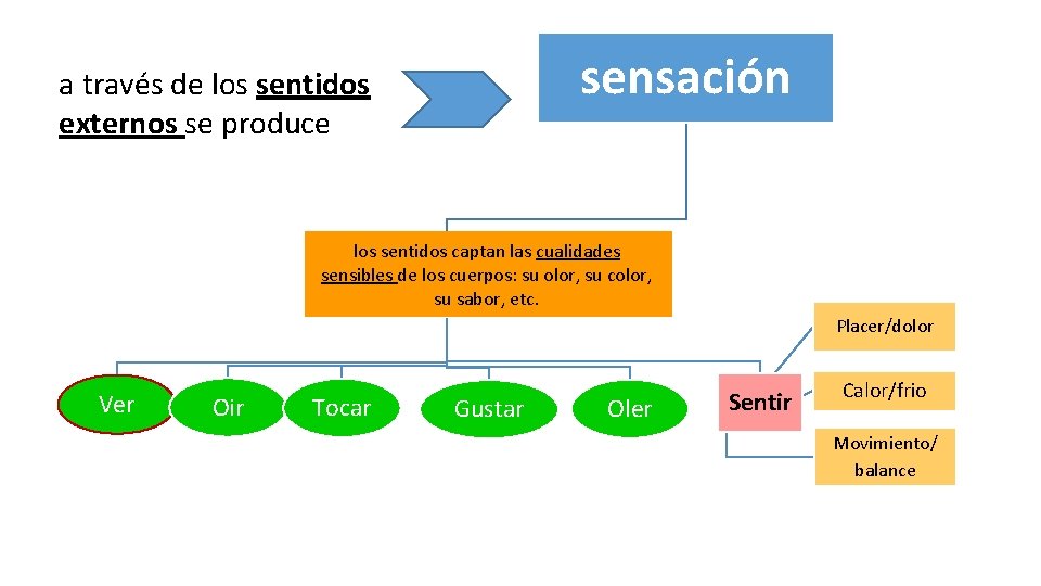 sensación a través de los sentidos externos se produce los sentidos captan las cualidades