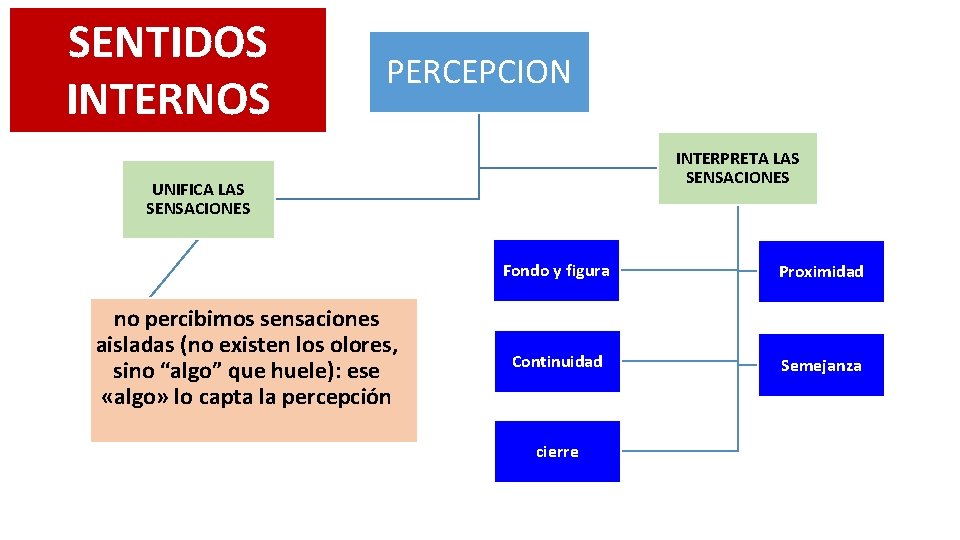 SENTIDOS INTERNOS PERCEPCION INTERPRETA LAS SENSACIONES UNIFICA LAS SENSACIONES no percibimos sensaciones aisladas (no