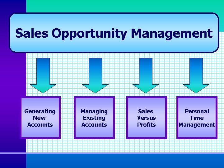 Sales Opportunity Management Generating New Accounts Managing Existing Accounts Sales Versus Profits Personal Time