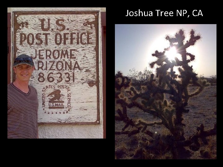 Joshua Tree NP, CA 