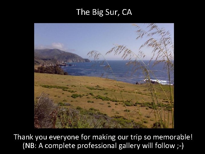 The Big Sur, CA Thank you everyone for making our trip so memorable! (NB: