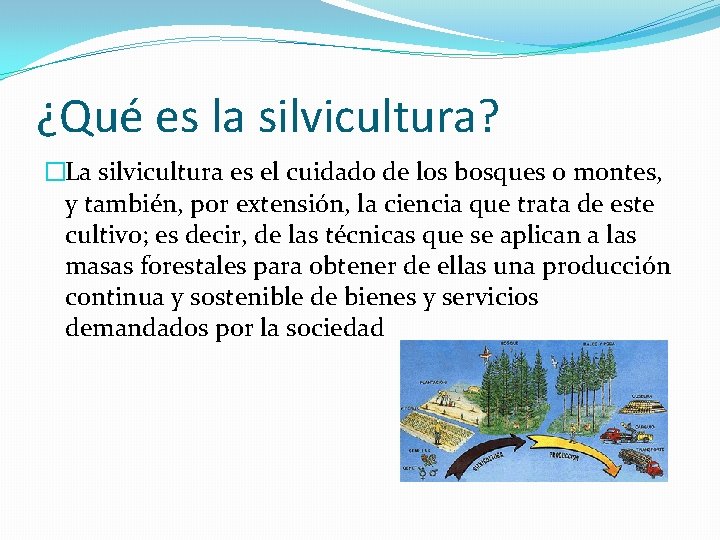 ¿Qué es la silvicultura? �La silvicultura es el cuidado de los bosques o montes,