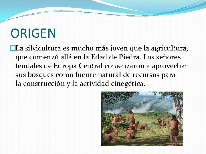 ORIGEN �La silvicultura es mucho más joven que la agricultura, que comenzó allá en