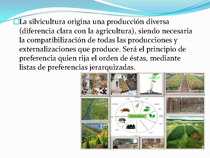 �La silvicultura origina una producción diversa (diferencia clara con la agricultura), siendo necesaria la