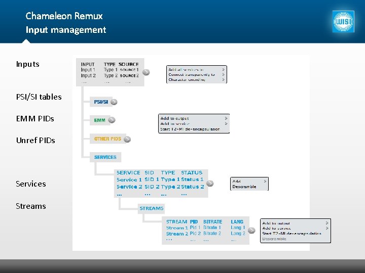 Chameleon Remux Input management Inputs PSI/SI tables EMM PIDs Unref PIDs Services Streams 