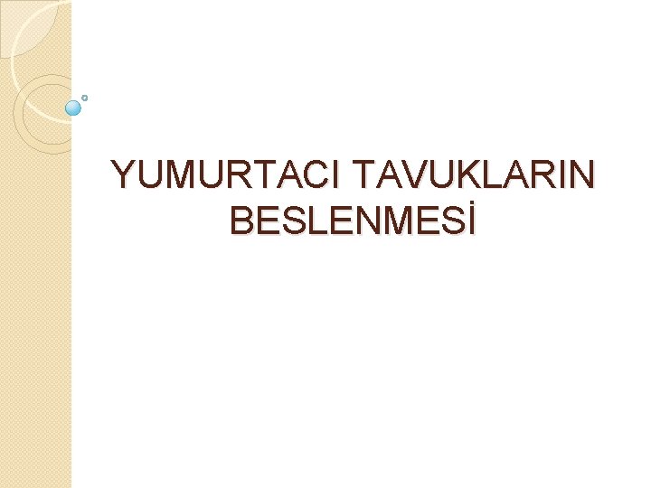 YUMURTACI TAVUKLARIN BESLENMESİ 