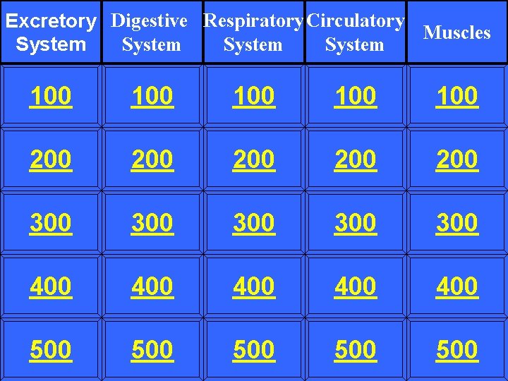 Excretory Digestive Respiratory Circulatory Muscles System 100 100 100 200 200 200 300 300