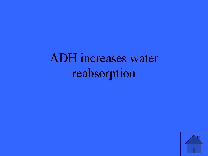ADH increases water reabsorption 