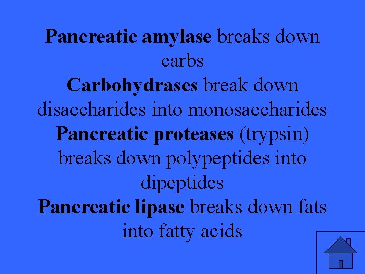 Pancreatic amylase breaks down carbs Carbohydrases break down disaccharides into monosaccharides Pancreatic proteases (trypsin)