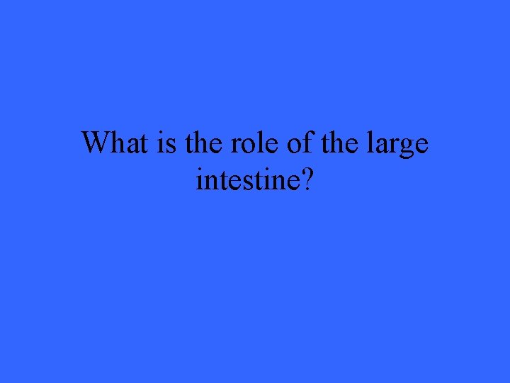 What is the role of the large intestine? 