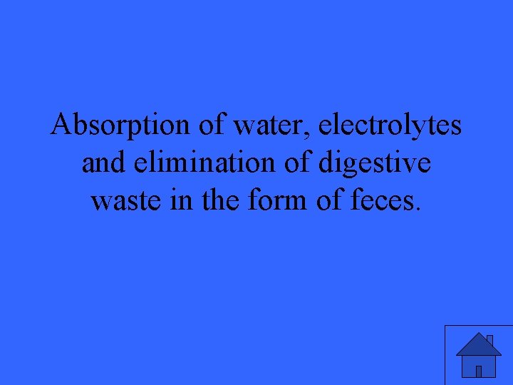 Absorption of water, electrolytes and elimination of digestive waste in the form of feces.