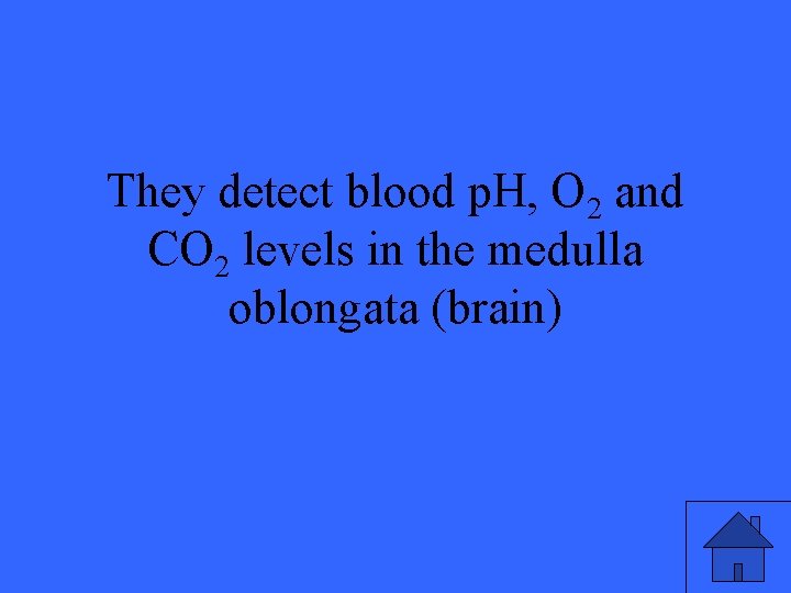 They detect blood p. H, O 2 and CO 2 levels in the medulla