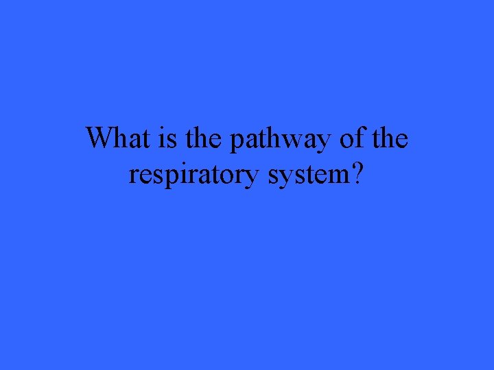What is the pathway of the respiratory system? 