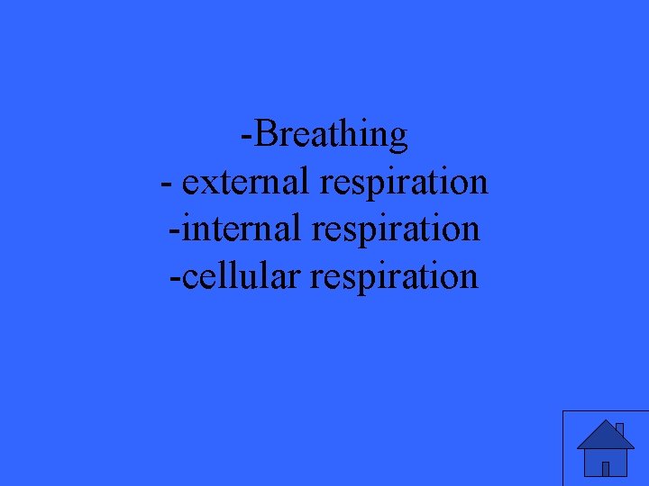 -Breathing - external respiration -internal respiration -cellular respiration 