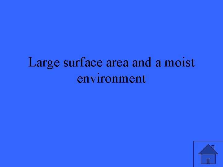 Large surface area and a moist environment 