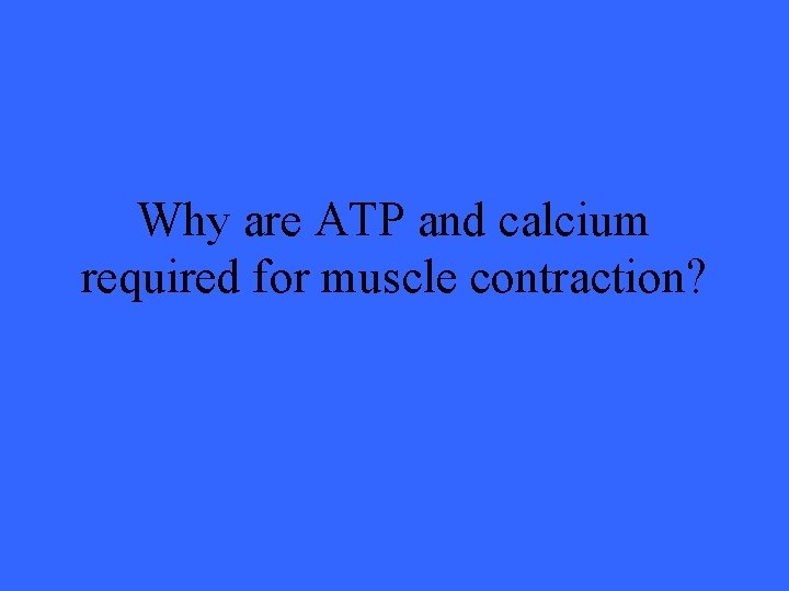 Why are ATP and calcium required for muscle contraction? 