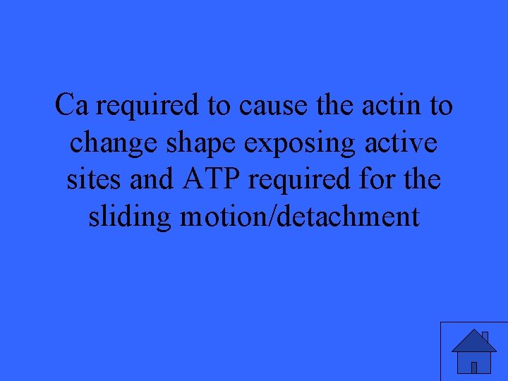 Ca required to cause the actin to change shape exposing active sites and ATP