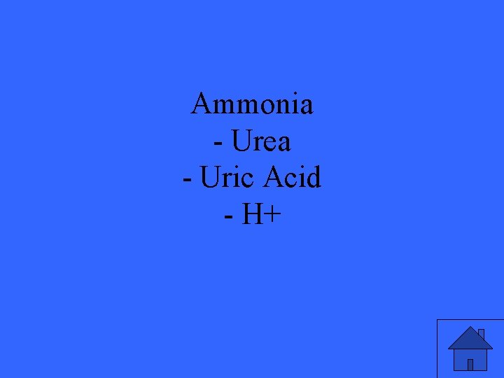 Ammonia - Urea - Uric Acid - H+ 