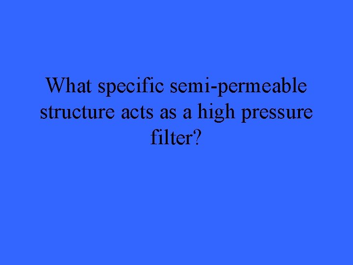 What specific semi-permeable structure acts as a high pressure filter? 