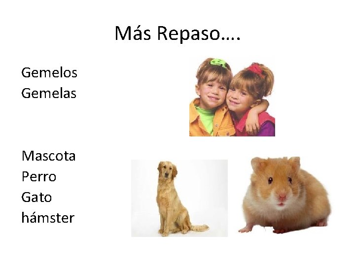 Más Repaso…. Gemelos Gemelas Mascota Perro Gato hámster 