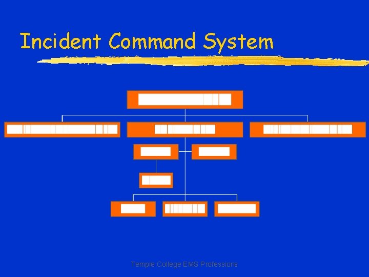 Incident Command System Temple College EMS Professions 