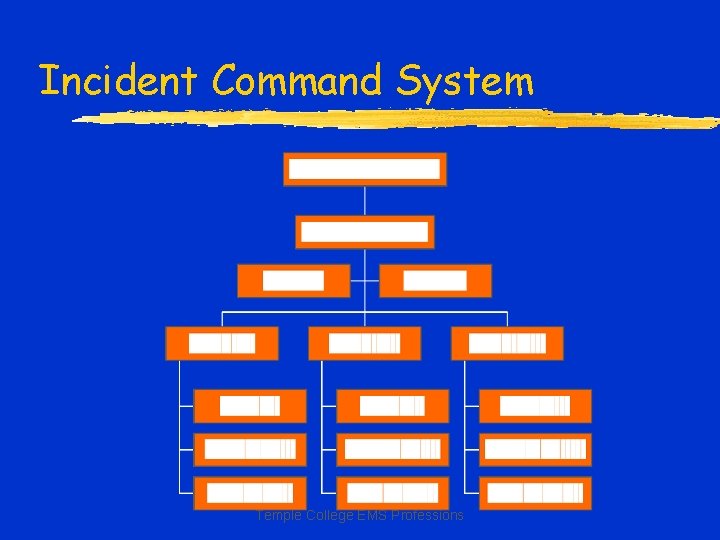 Incident Command System Temple College EMS Professions 