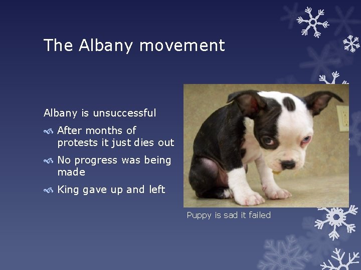 The Albany movement Albany is unsuccessful After months of protests it just dies out