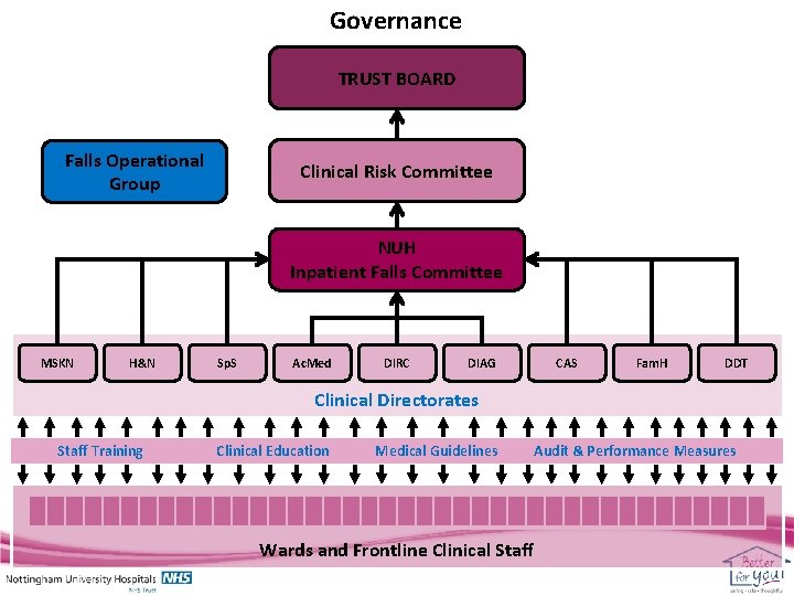 Governance TRUST BOARD Falls Operational Group Clinical Risk Committee NUH Inpatient Falls Committee MSKN