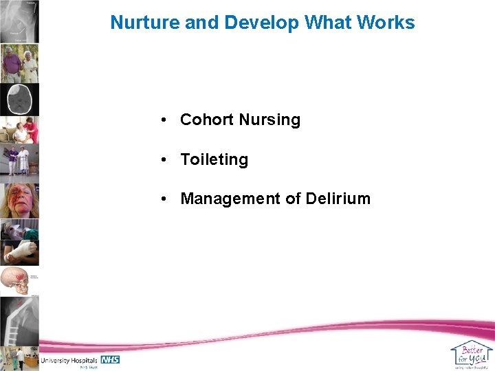 Nurture and Develop What Works • Cohort Nursing • Toileting • Management of Delirium